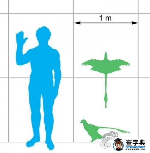 《方舟 生存進化》小盜龍圖鑒及馴化解析3